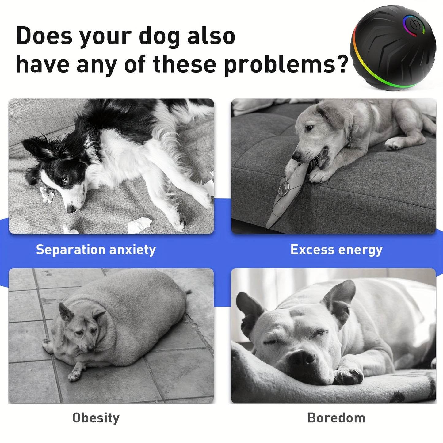 Motion-Activated Dog Bouncing Ball