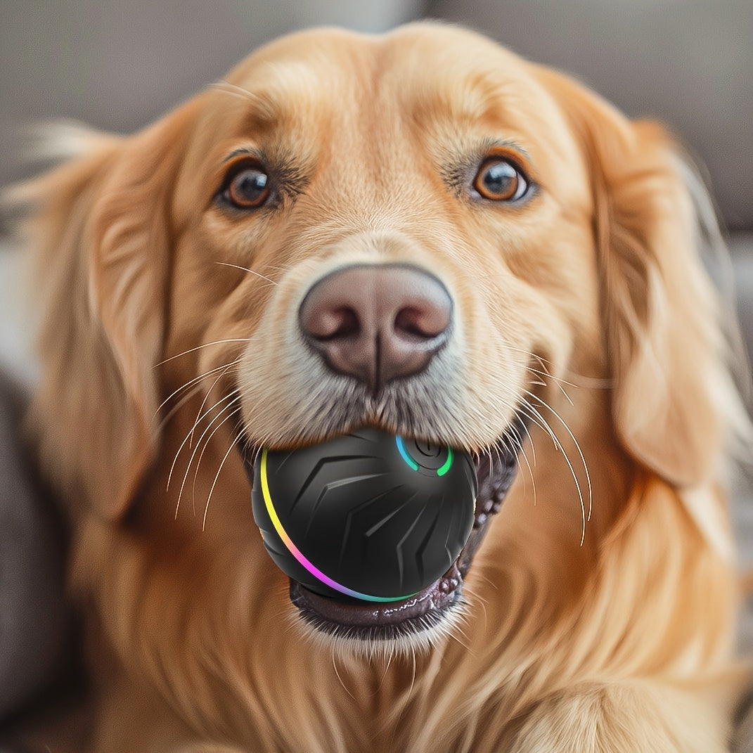 Motion-Activated Dog Bouncing Ball