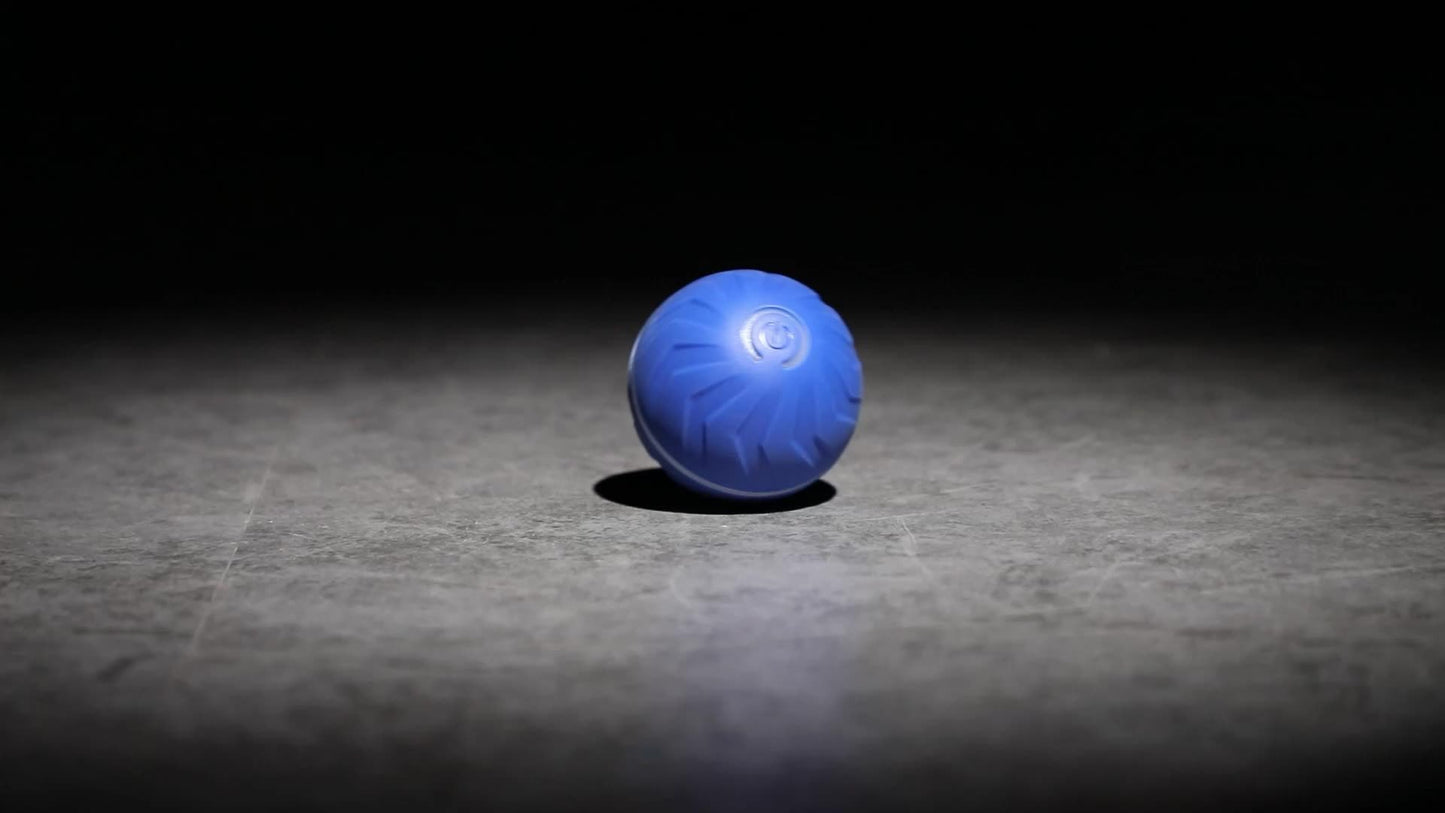 Motion-Activated Dog Bouncing Ball