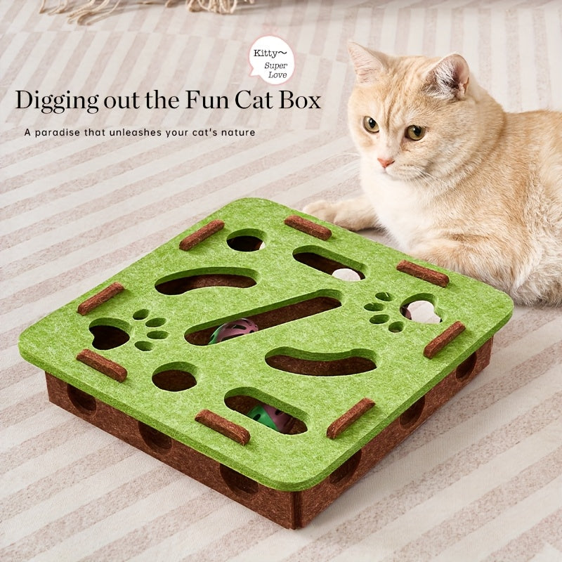 Cat Fun Box